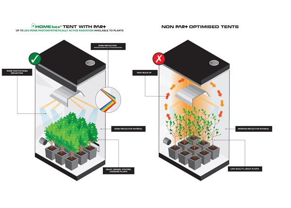 HomeBox Par+