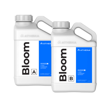 Athena Bloom A + B 3,79 L