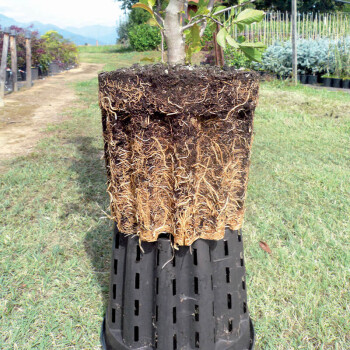 Plant pot Ercole round 1.3 L - 25 L