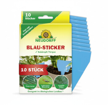 Neudorff Blue Sticky Traps 8 x 13 cm, 10 pcs., for thrips