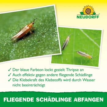 Neudorff Blue Sticky Traps 8 x 13 cm, 10 pcs., for thrips