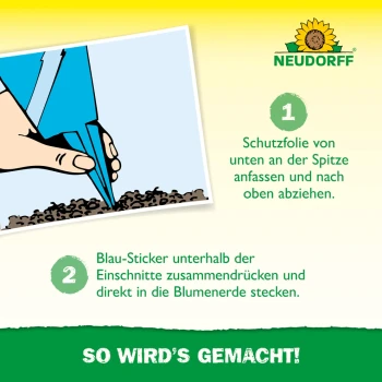 Neudorff Blue Sticky Traps 8 x 13 cm, 10 pcs., for thrips