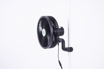 HOMEbox Air Breva EC Clip Fan 206 mm, oscillating