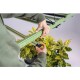 Treegers GL650W Full-Spectrum LED Grow Lamp