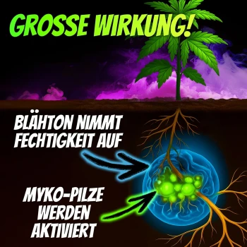 Homegrow24 Mycorrhiza Granules 100g