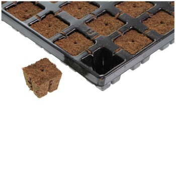 Eazy Plug cuttings tray 3,6 x 3,6cm - 77 pcs.