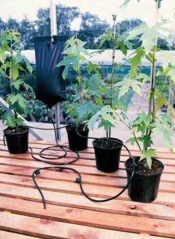 Garland  Big Drippa Watering Kit incl. 6 adjustable drippers