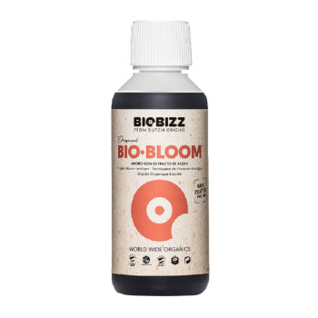 Bloom Bomb