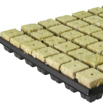 Tray of 77 Large Growth Technology Rockwool Trays 24-48 77 /& Refill Bag of 100 Cubes