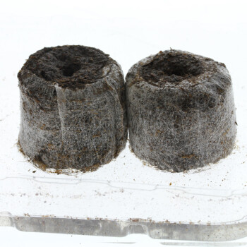 Jiffy Peat Soil Pellets 1000 pcs.