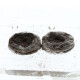 Jiffy Peat Soil Pellets 1000 pcs.