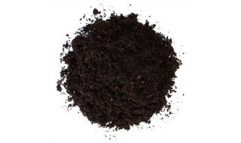 Floragard Aromatic Organic Soil 10 L for Seeding & Herbs