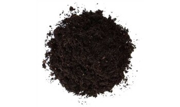 Floragard Aromatic Organic Soil 3 L for Seeding & Herbs
