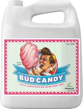 Advanced Nutrients Bud Candy Booster 10 L