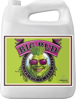 Advanced Nutrients Big Bud Bloom Booster 5 L
