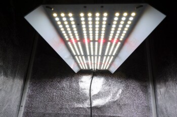 hortiONE 420 V3 LED 150W Full Spectrum